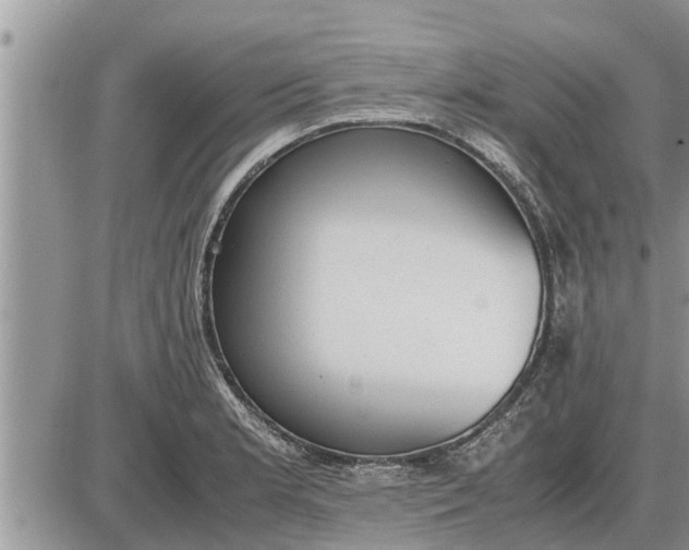 X0000085251181200703231642