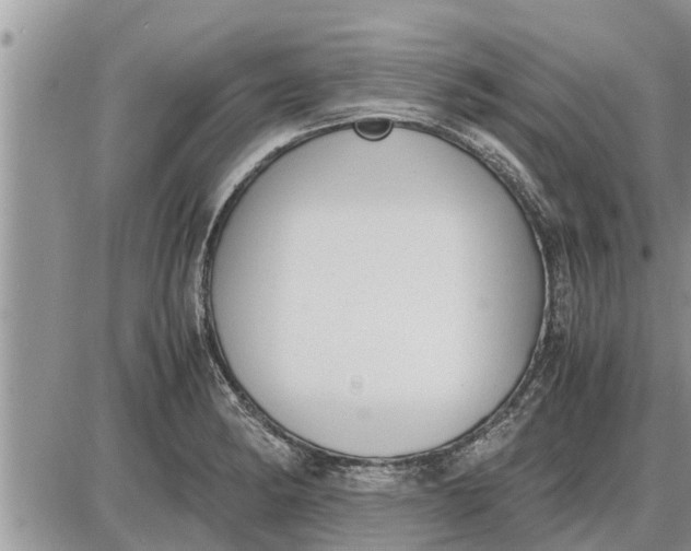 X0000085251182200703231642