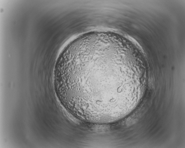 X0000085251183200703231642