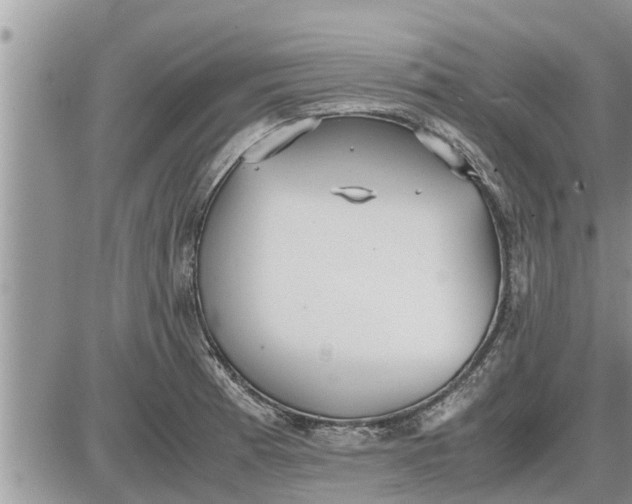 X0000085251185200703231642