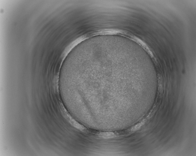 X0000085251186200703231642