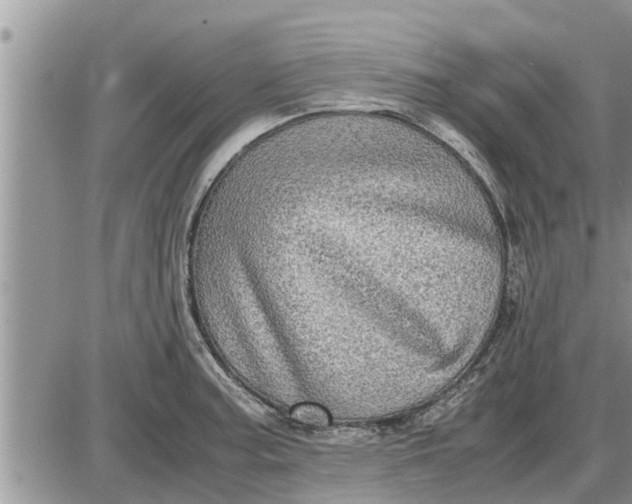 X0000085251187200703231642