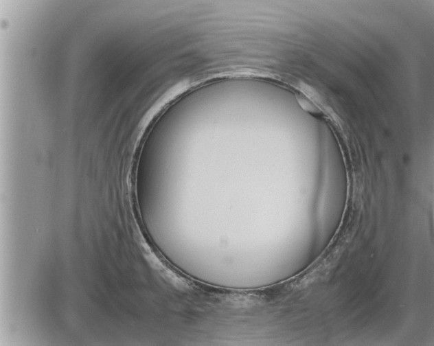 X0000085251189200703231642