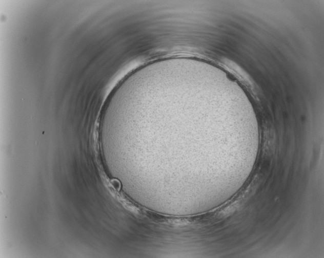 X0000085251190200703231642