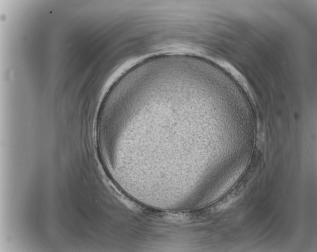 X0000085251191200703231642