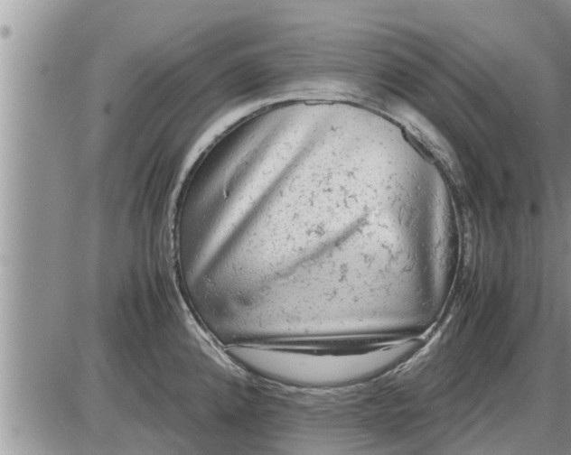 X0000085251192200703231642