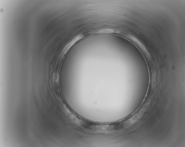 X0000085251193200703231642