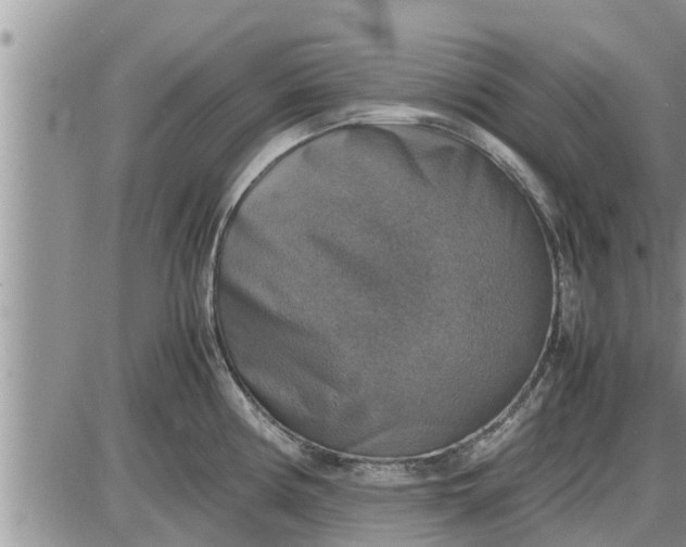 X0000085251194200703231642