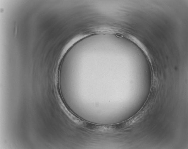 X0000085251195200703231642