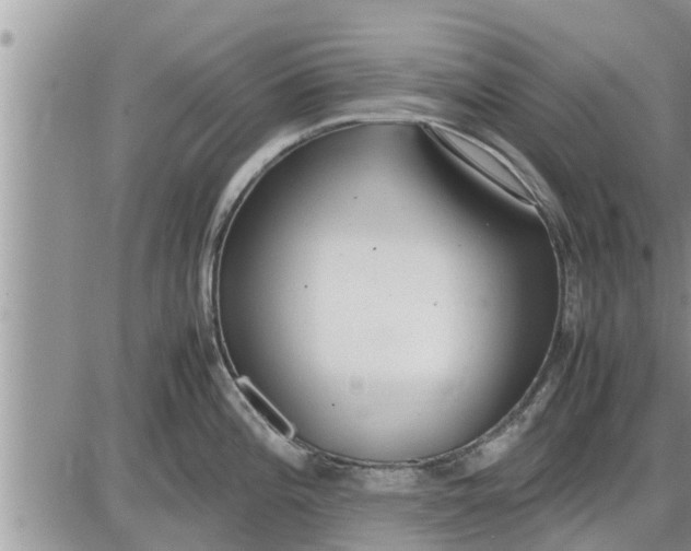 X0000085251196200703231642