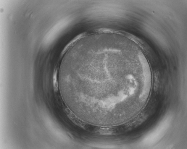 X0000085251198200703231642