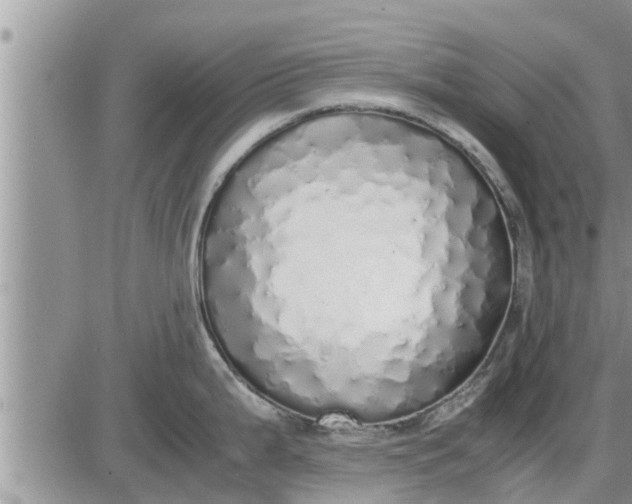 X0000085251199200703231642