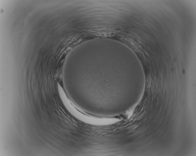 X0000085251202200703231641