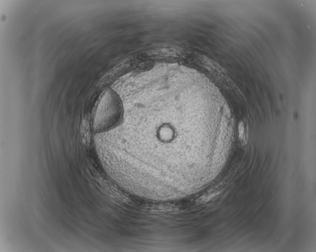 X0000085251203200703231641