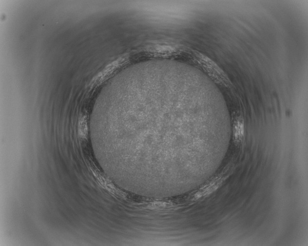 X0000085251204200703231641