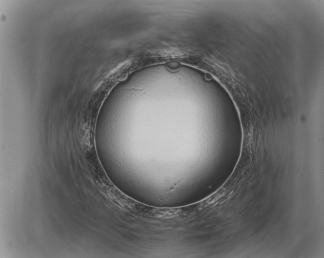 X0000085251205200703231641