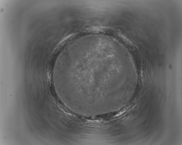 X0000085251206200703231641