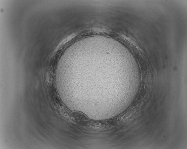 X0000085251207200703231641