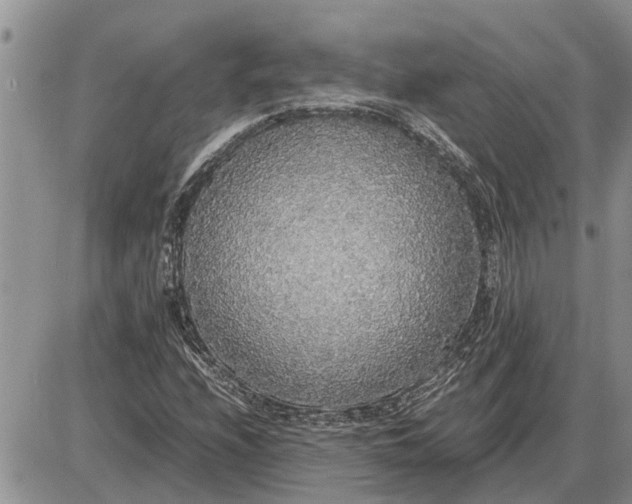 X0000085251208200703231641