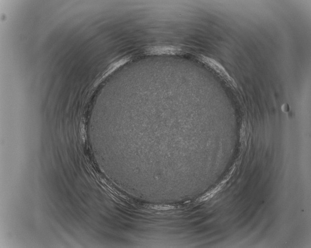 X0000085251209200703231641