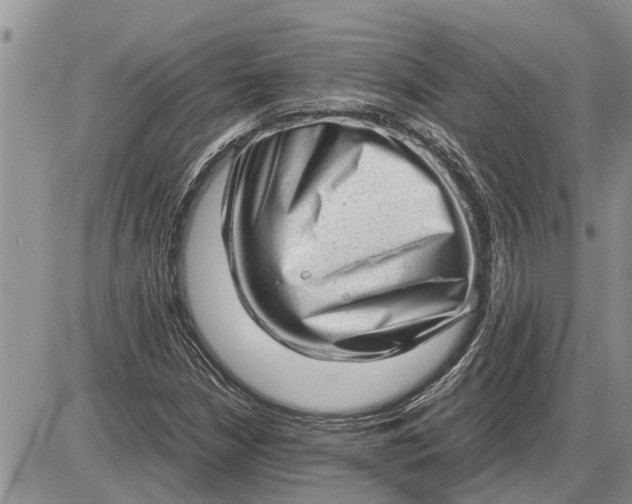 X0000085251210200703231641