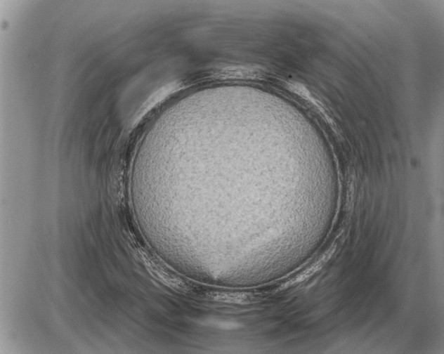 X0000085251211200703231641