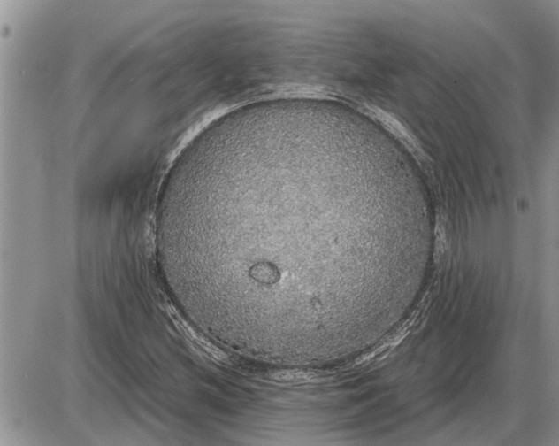 X0000085251212200703231641