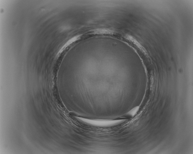 X0000085251213200703231641