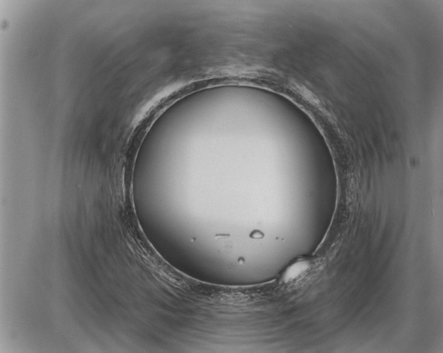 X0000085251214200703231641