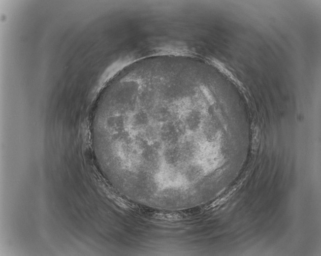 X0000085251215200703231641