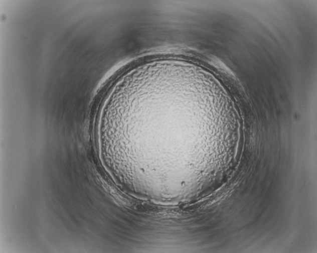 X0000085251216200703231641