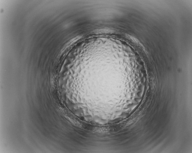 X0000085251217200703231641