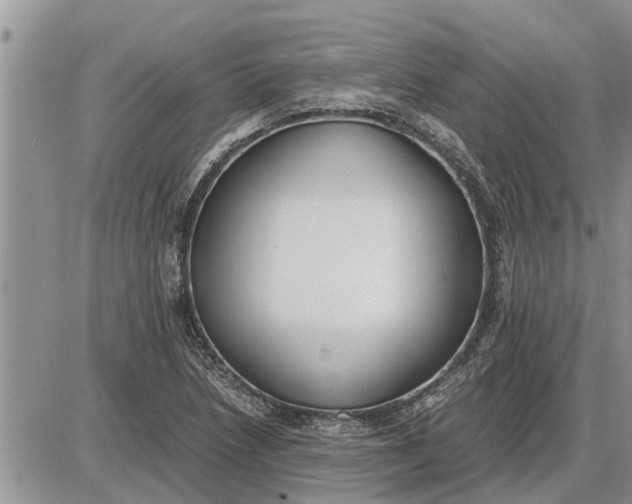 X0000085251218200703231641