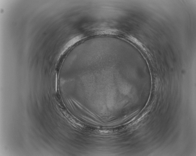 X0000085251219200703231641