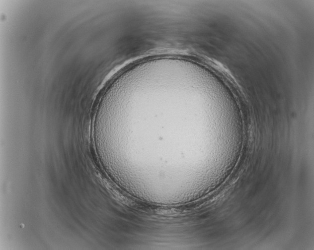 X0000085251220200703231641