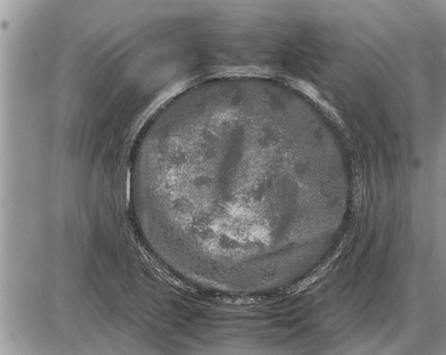 X0000085251221200703231641