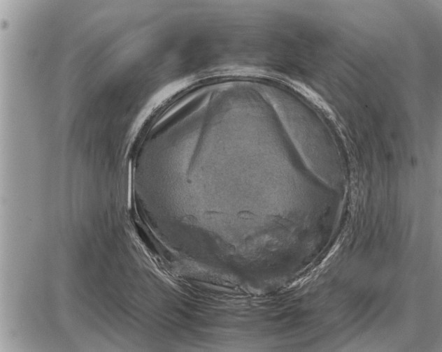 X0000085251223200703231641