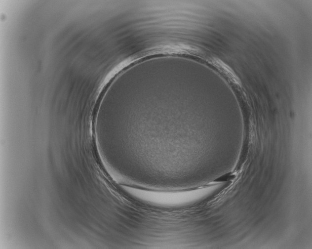 X0000085251226200703231641