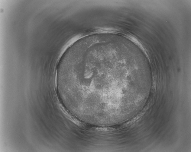 X0000085251227200703231641