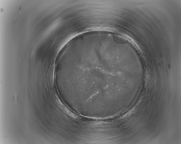 X0000085251228200703231641