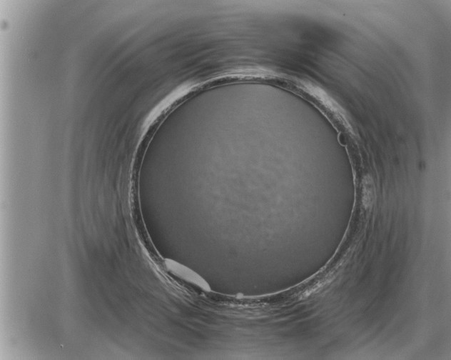 X0000085251229200703231641