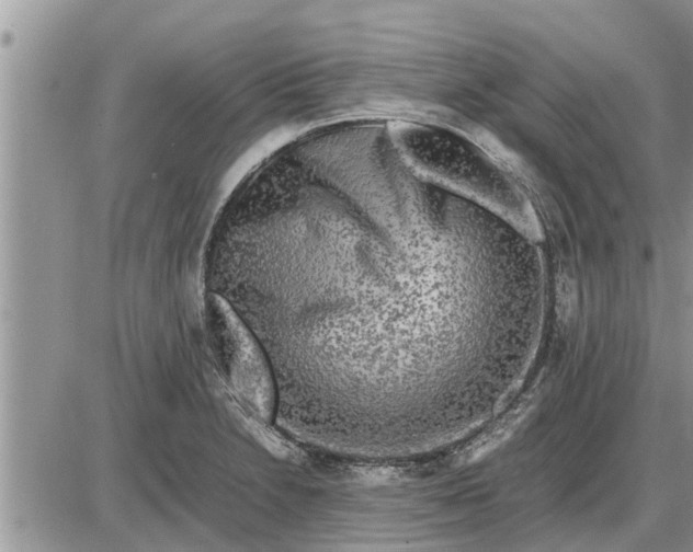 X0000085251230200703231641