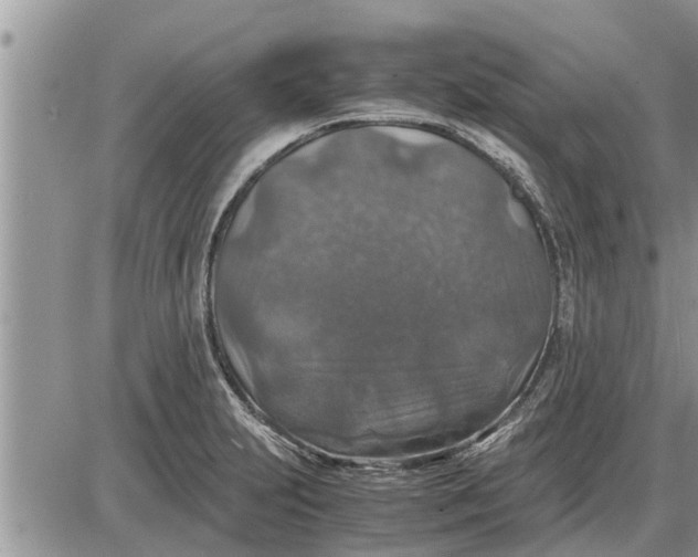 X0000085251231200703231641