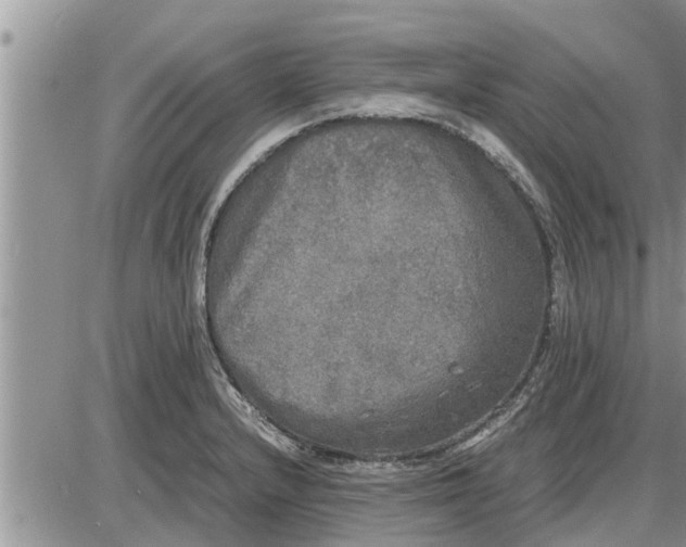 X0000085251232200703231641