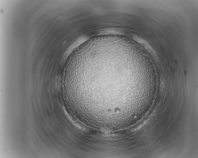 X0000085251233200703231641