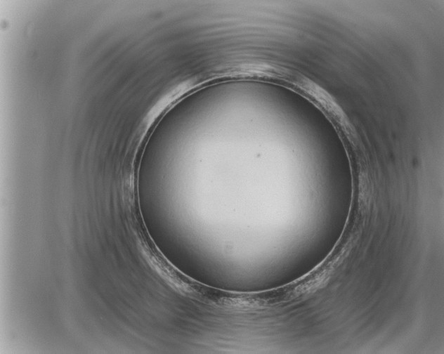 X0000085251234200703231641