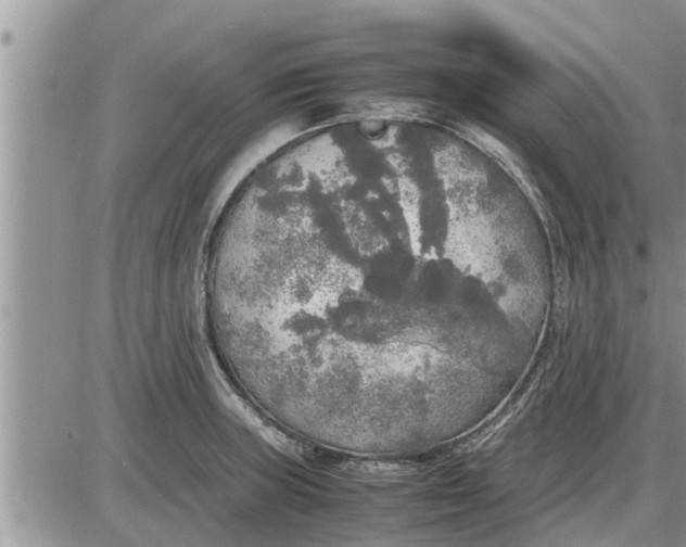 X0000085251235200703231641