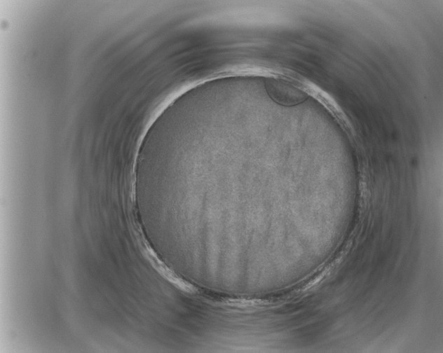 X0000085251236200703231641