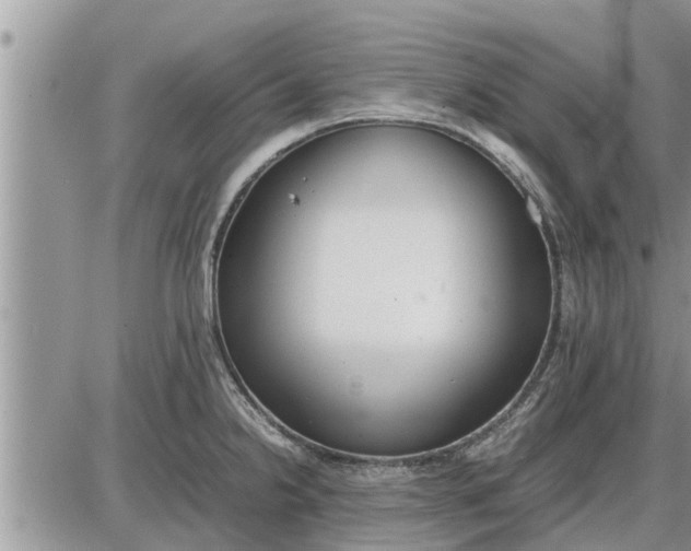 X0000085251238200703231641