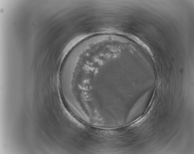 X0000085251239200703231641